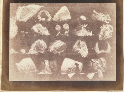 La vetrina delle modiste da William Henry Fox Talbot
